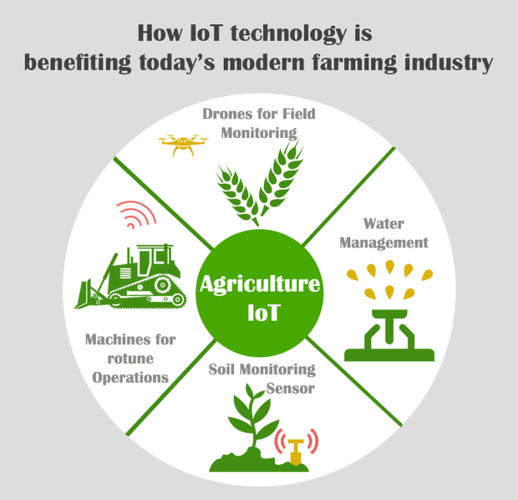 Smart Farming: An Increase In Demand - IoTEDU